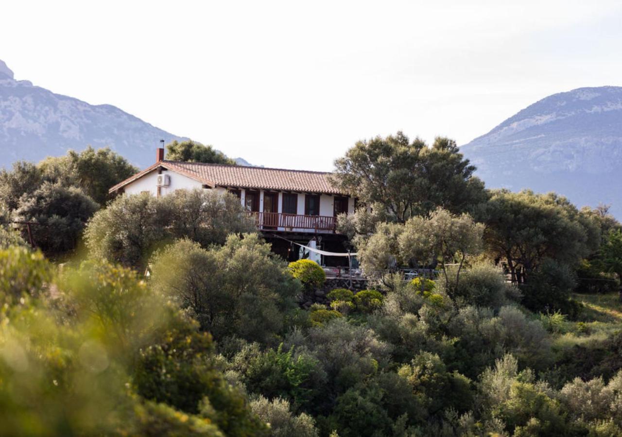 Ecoparco Neule Villa Dorgali Exterior photo